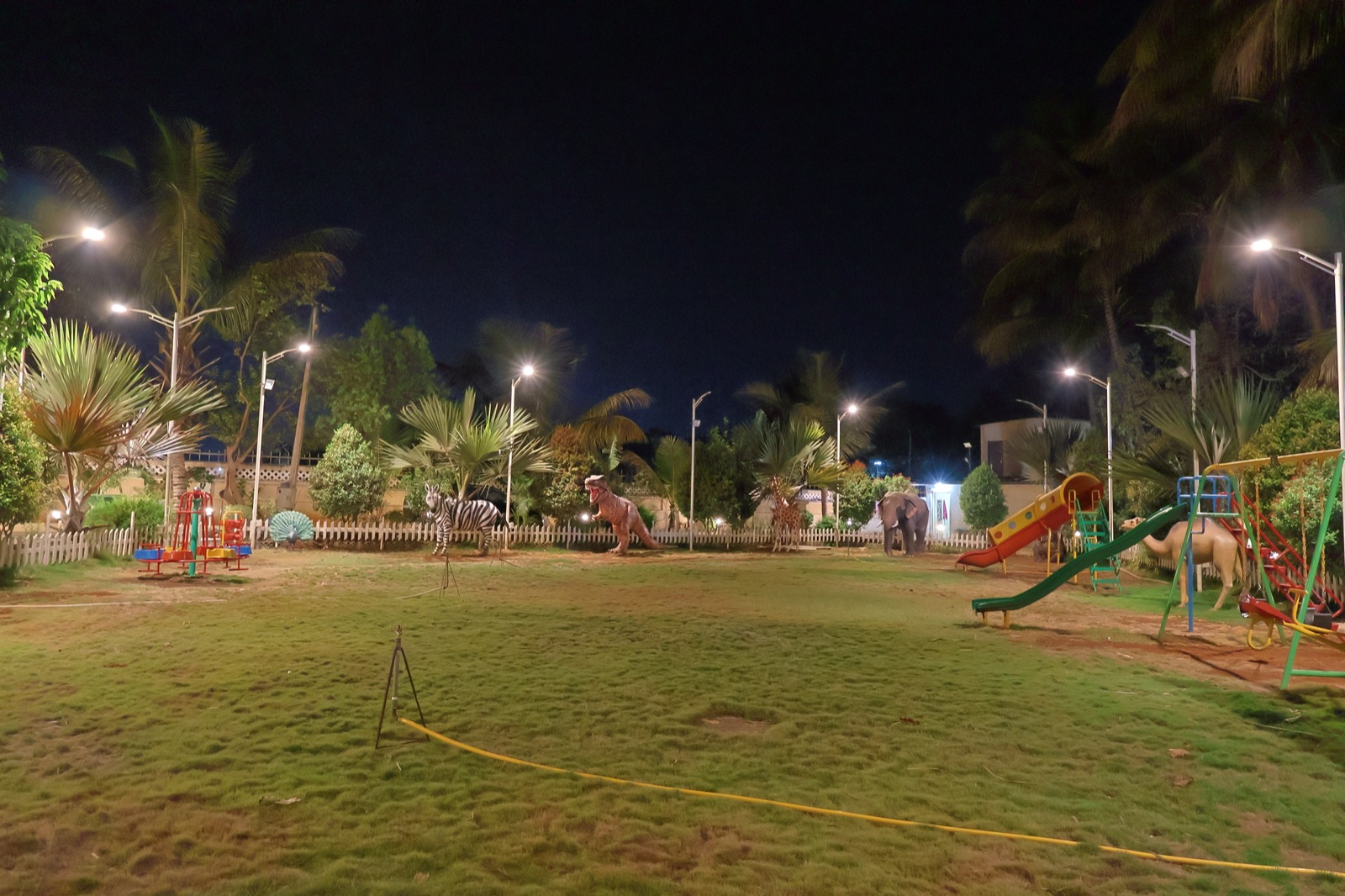 Dinosaur Play Park at Night